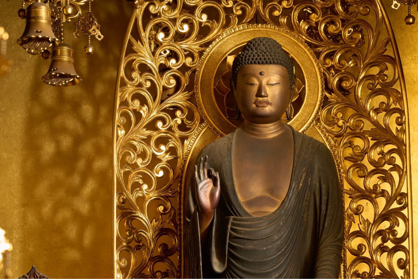 興善寺 阿弥陀如来立像