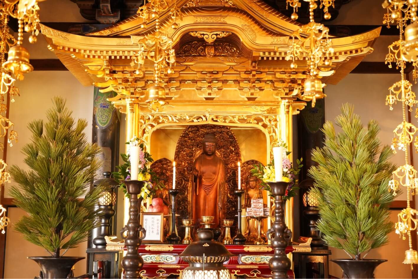 称念寺 阿弥陀如来立像