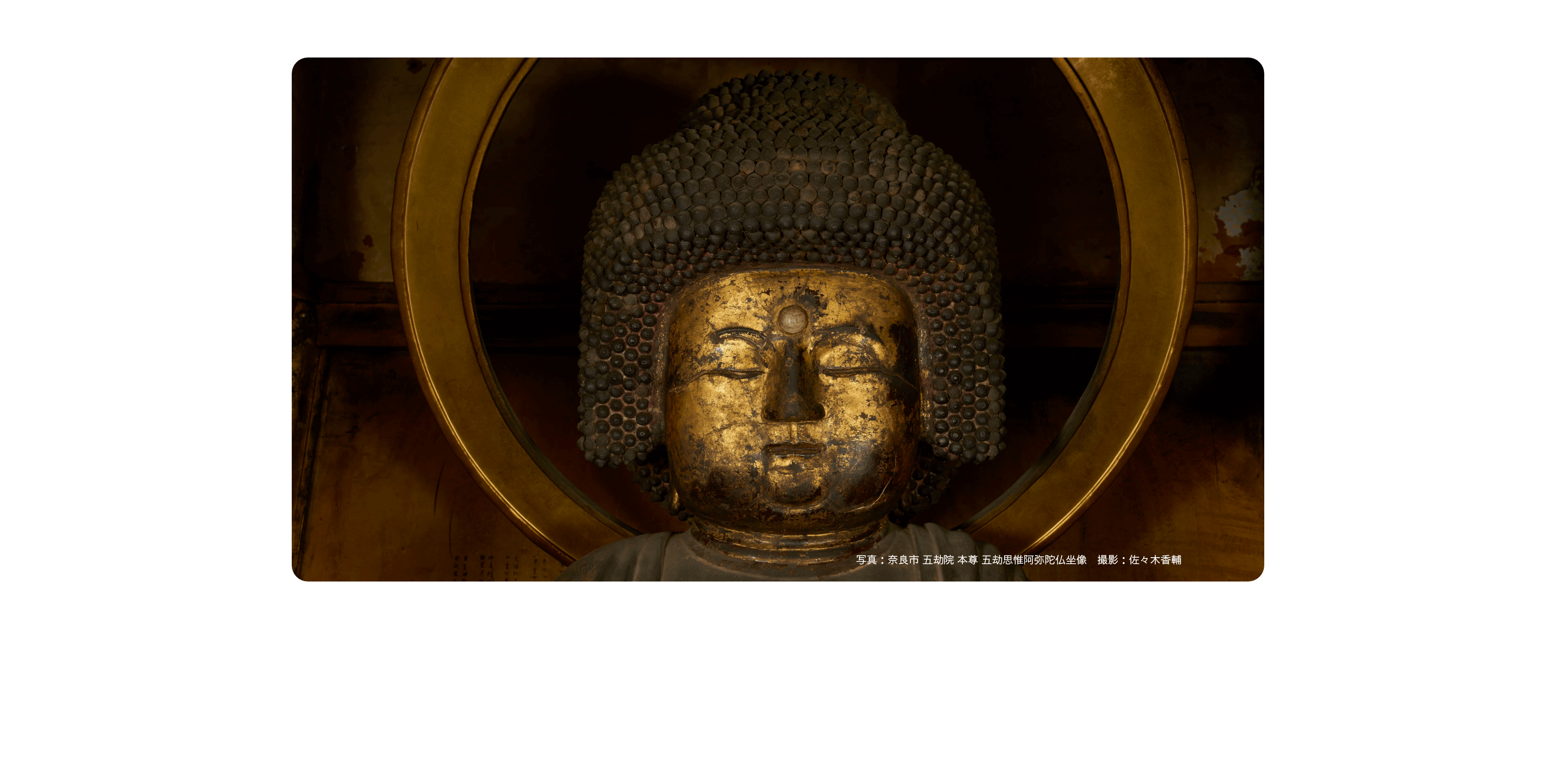 写真：奈良市 五劫院 本尊 五劫思惟阿弥陀仏坐像　撮影：佐々木香輔