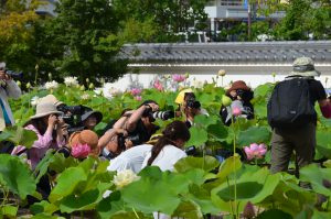 過去の写真教室の様子