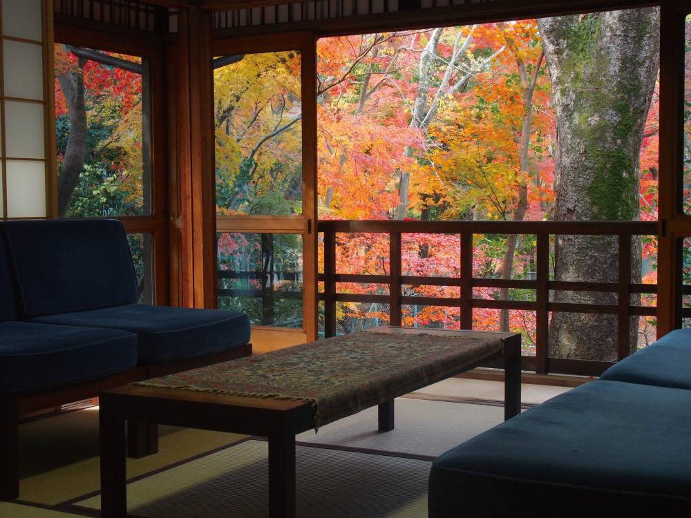 吉城川に向かう応接間の眺めは格別で、川辺の紅葉も美しい