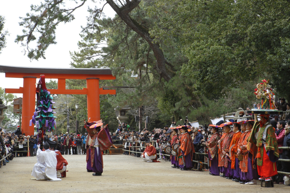 提供：春日大社　撮影：松井良浩