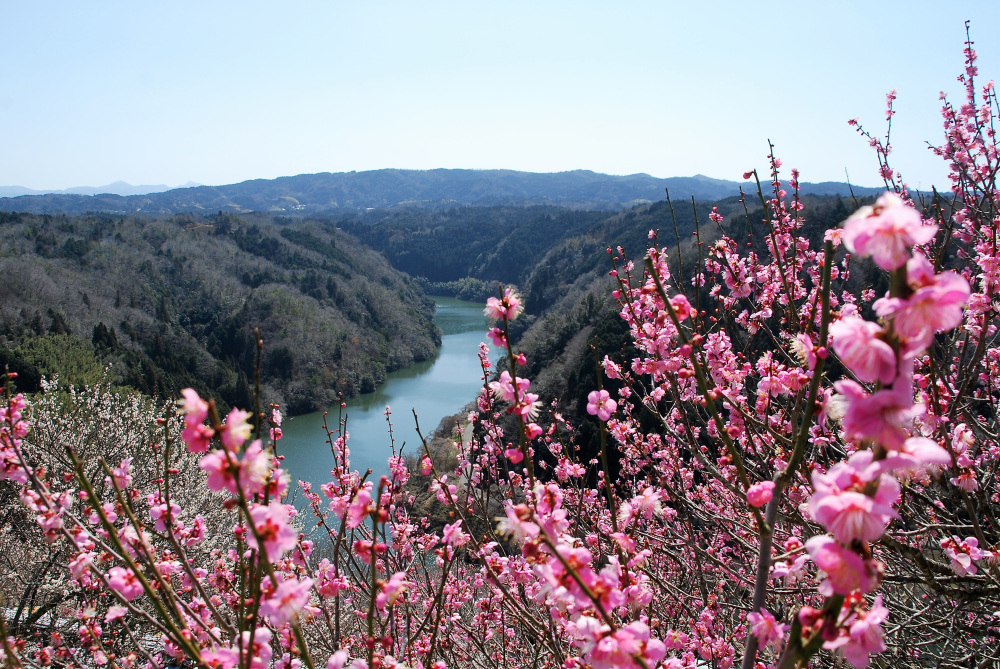 ※イメージです