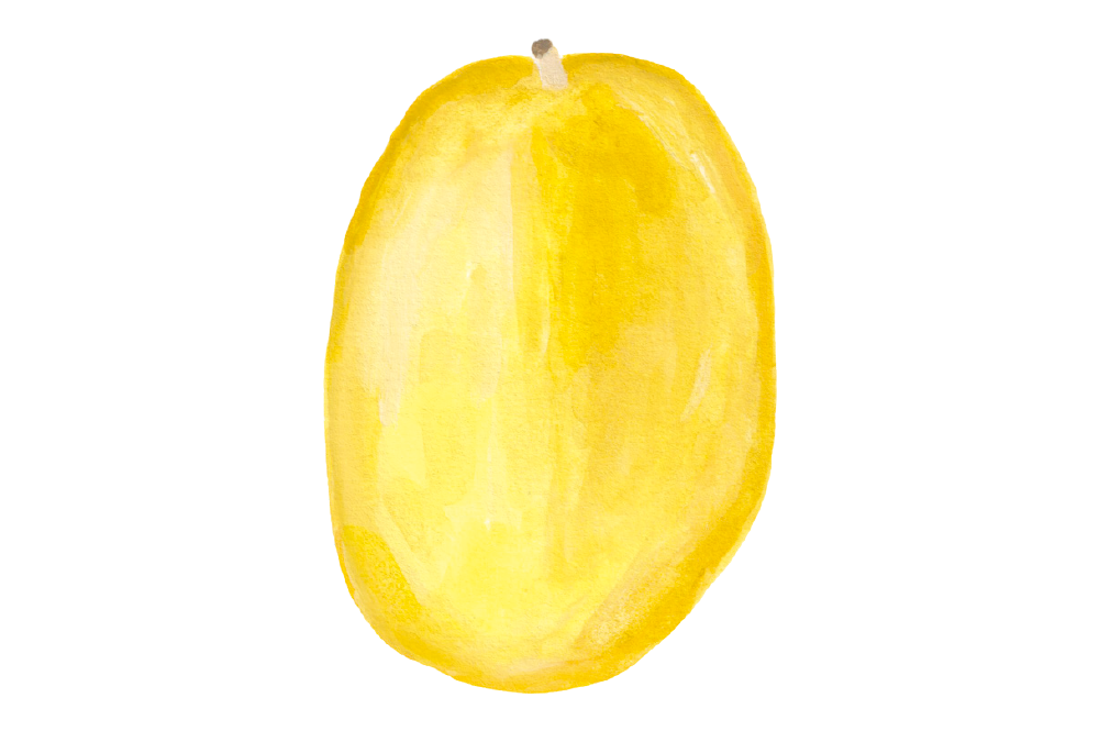 「マッカ」と呼ばれる奈良のまくわうり