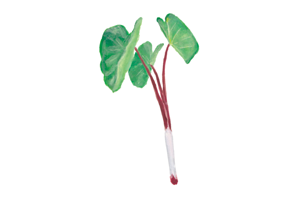 煮びたしに最適な希少食材