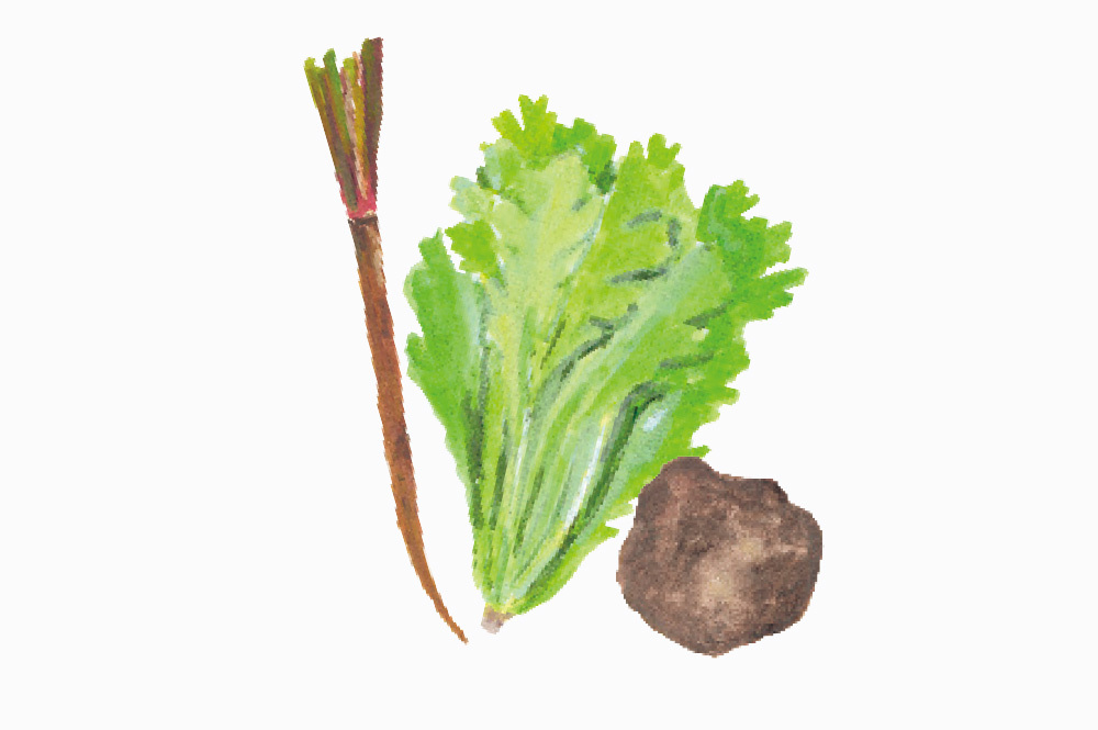 生産地の名前がついた伝統野菜をチェック!