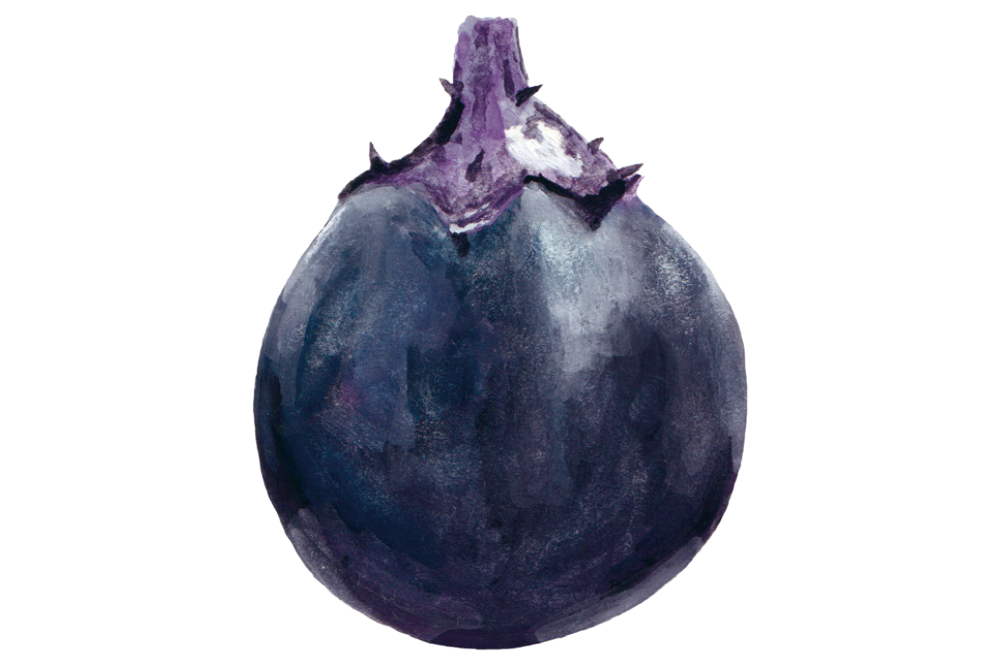 ツヤのある紫黒色で美しい丸型が目印