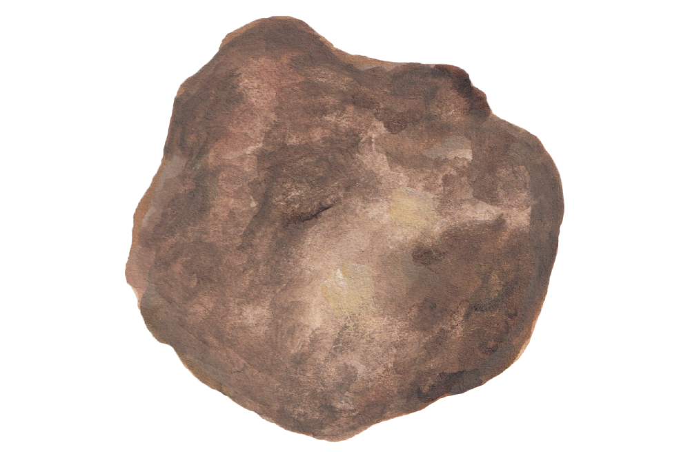 強い粘りはとろろ汁にも