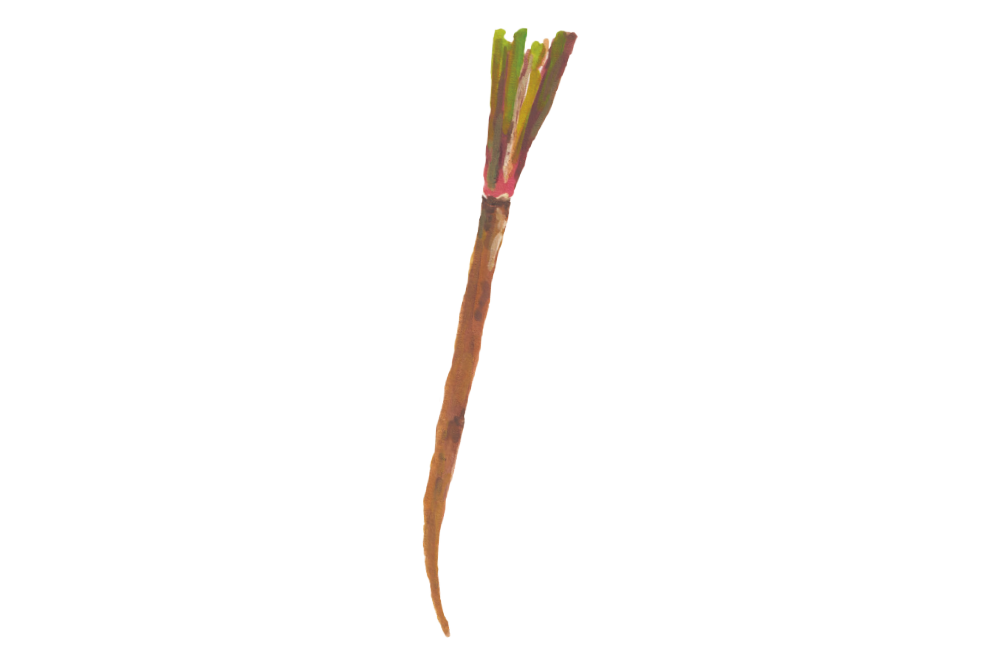 香り高く金のような輝き