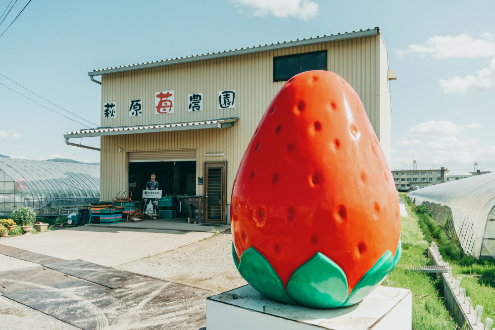 萩原苺農園