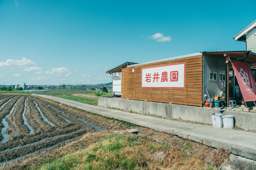 岩井農園