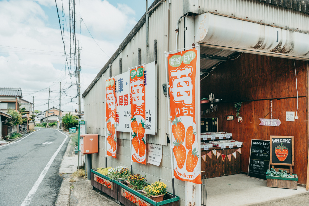 ストロベリーキャビン(武村農園) 