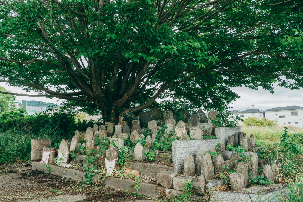 服部さんいわく「廃寺の雰囲気が漂っていていいですね」