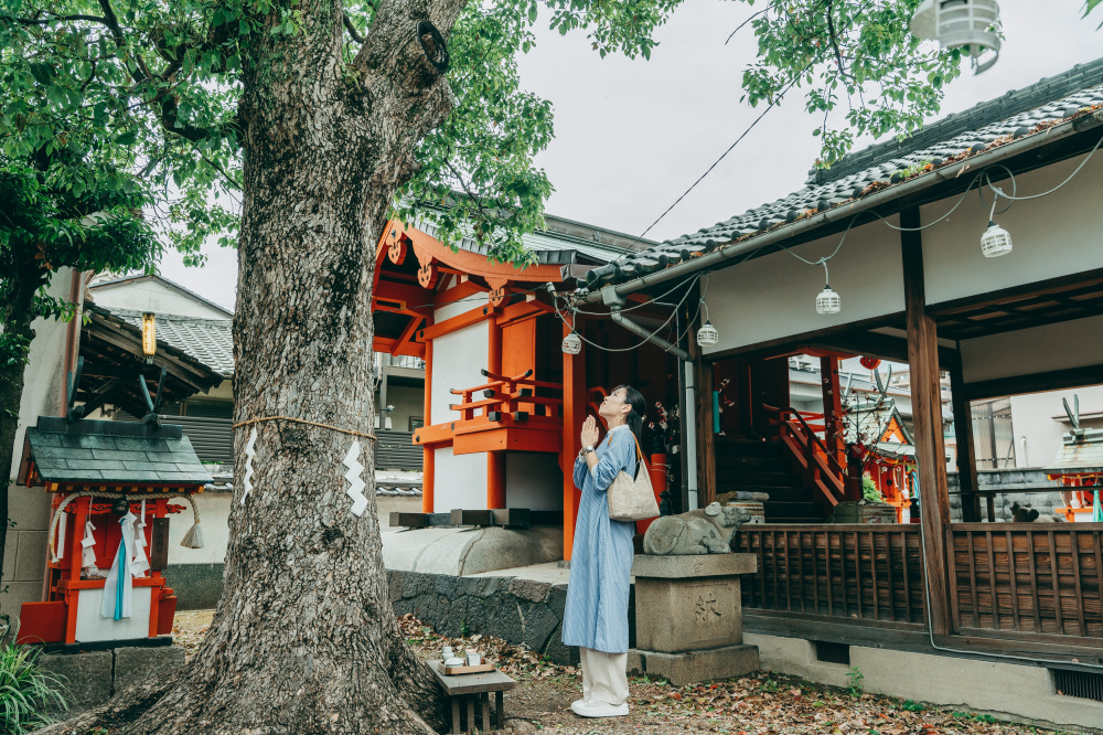 思わず手を合わせたくなる飛鳥神社の巨木