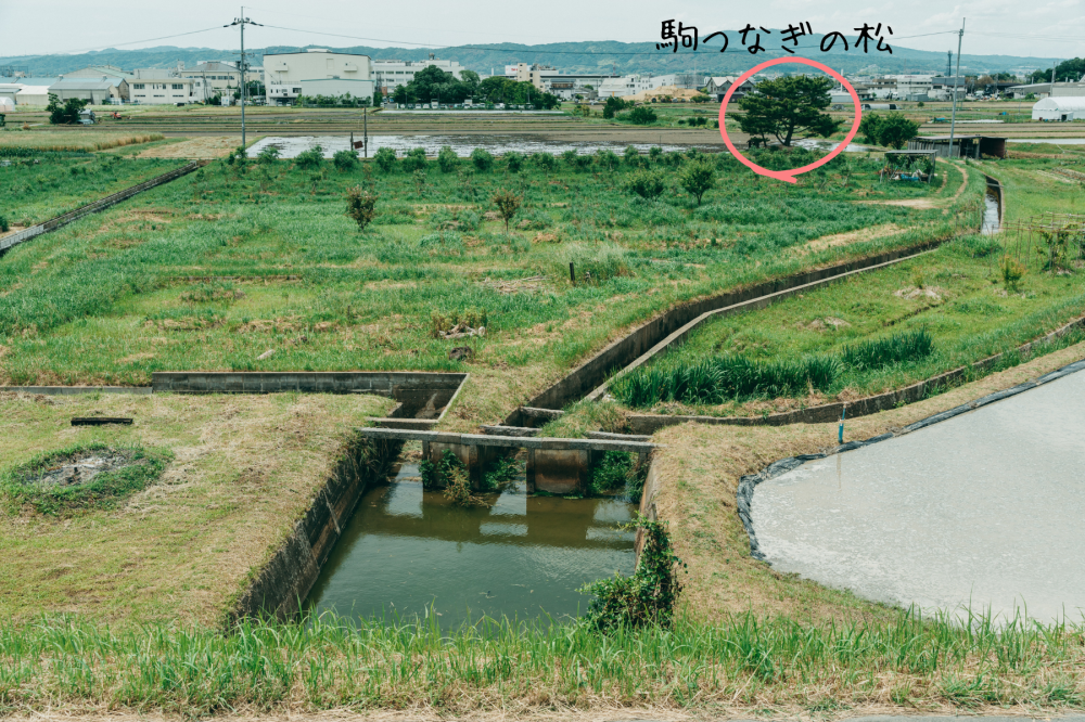 江戸時代からあったとされる分水工。「樋門」を通った水が各地域へと送られます