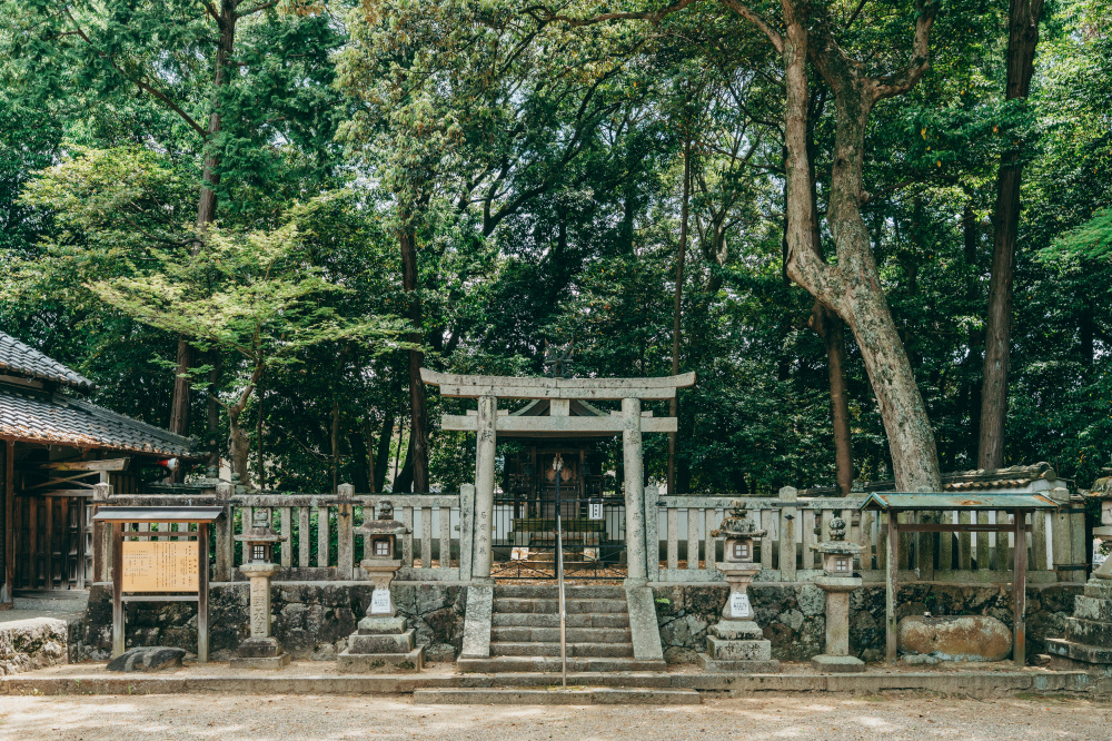 圓満寺の向かいの八坂神社