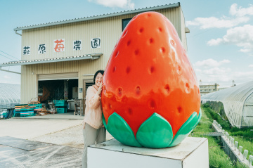 お土産にもおすすめ!日帰りで巡る「冬から春限定!いちご&酒蔵満喫コース」