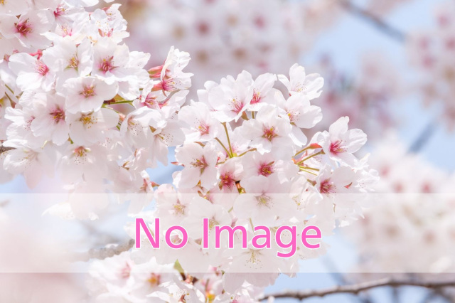 氷室神社（枝垂桜）