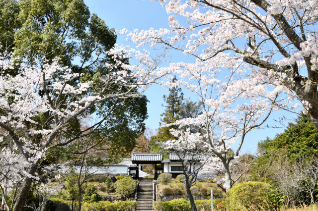 柳生の里 芳徳寺、陣屋跡