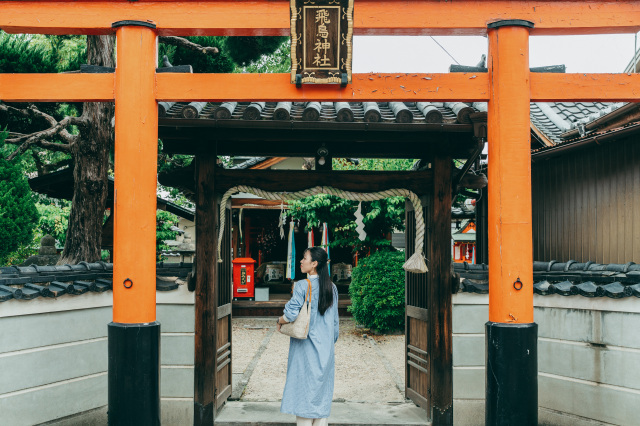世界遺産だけじゃない！奈良の歴史の魅力に迫る半日コース「京終歴史さんぽ ー古代〜近世歴史編ー」
