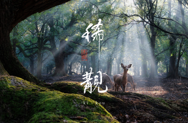 Ki-kou — a fully bespoke cultural stay in Nara We curate exclusive and meaningful experiences.