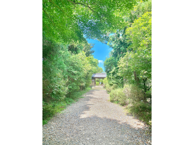 写真提供：海龍王寺