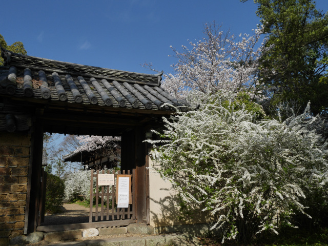 写真提供：海龍王寺