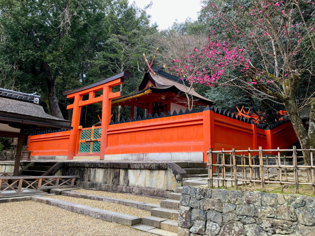 写真提供:春日大社 (春日若宮)