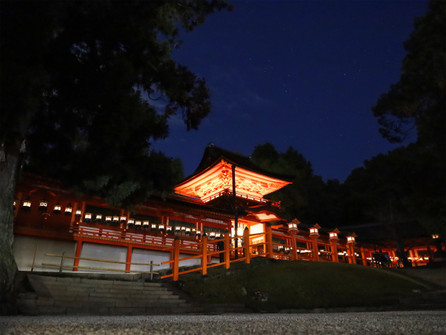 写真提供:春日大社 (万燈籠)