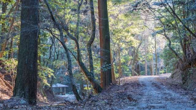 画像提供：奈良県県土マネジメント部地域デザイン推進局奈良公園室