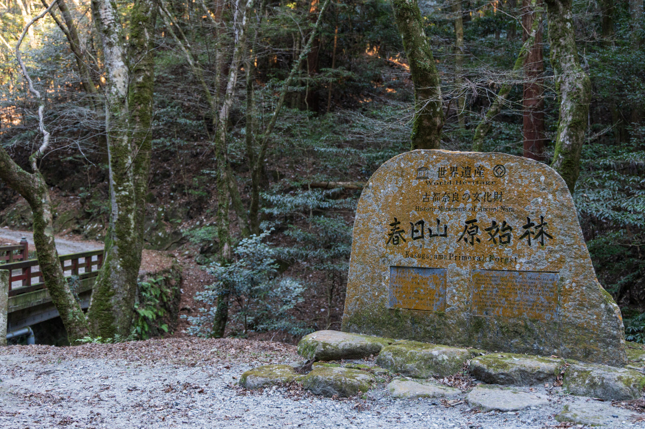 画像提供:奈良県県土マネジメント部地域デザイン推進局奈良公園室