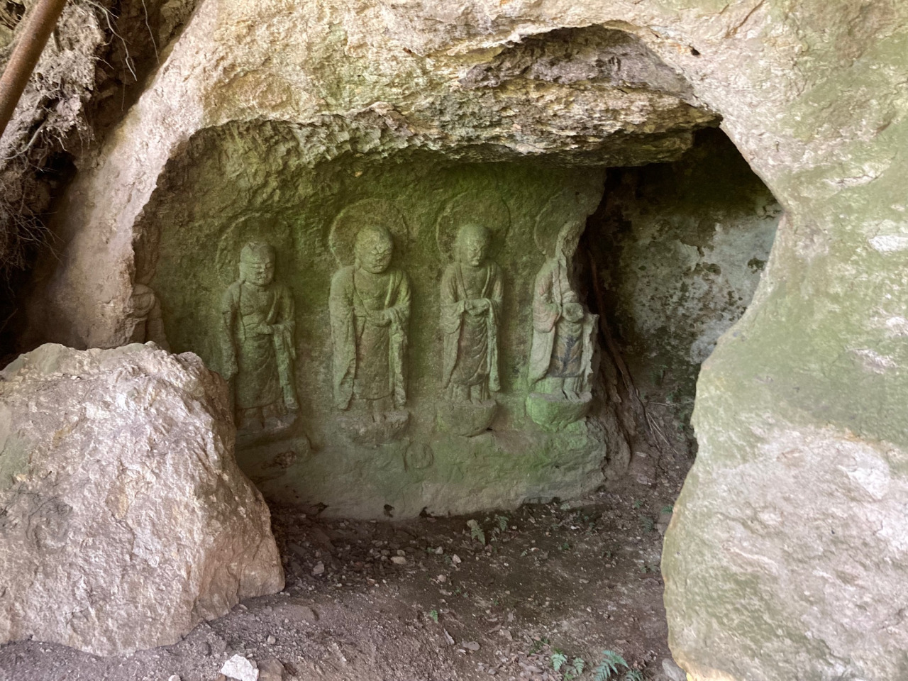 画像提供:奈良県県土マネジメント部地域デザイン推進局奈良公園室