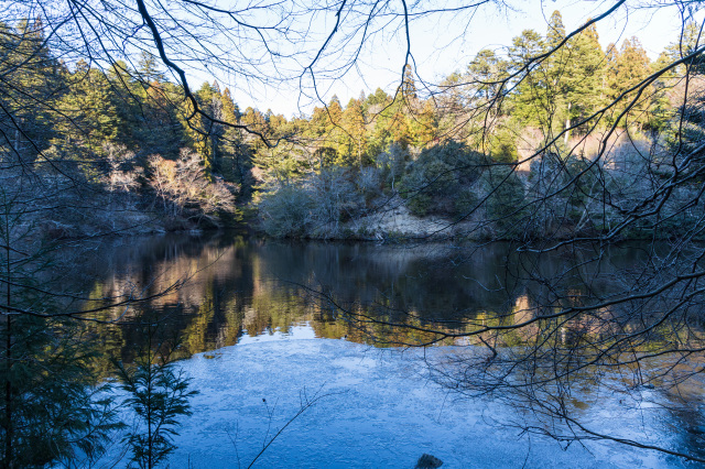 画像提供：奈良県県土マネジメント部地域デザイン推進局奈良公園室