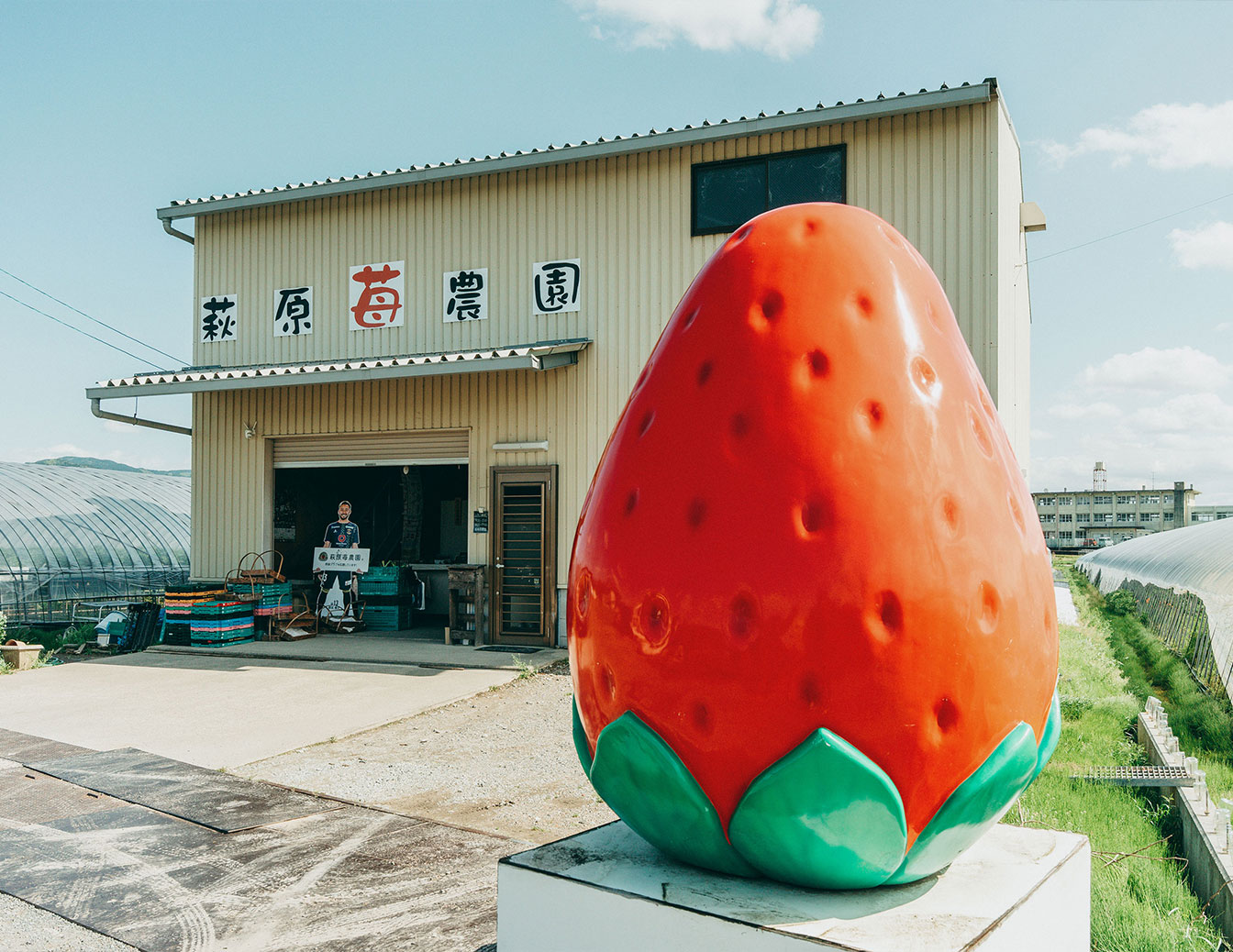 帯解