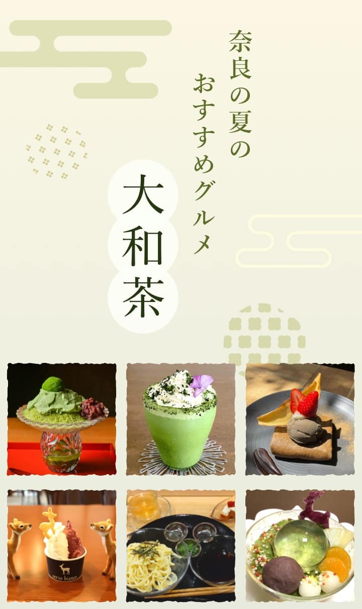 奈良の夏のおすすめグルメ 大和茶
