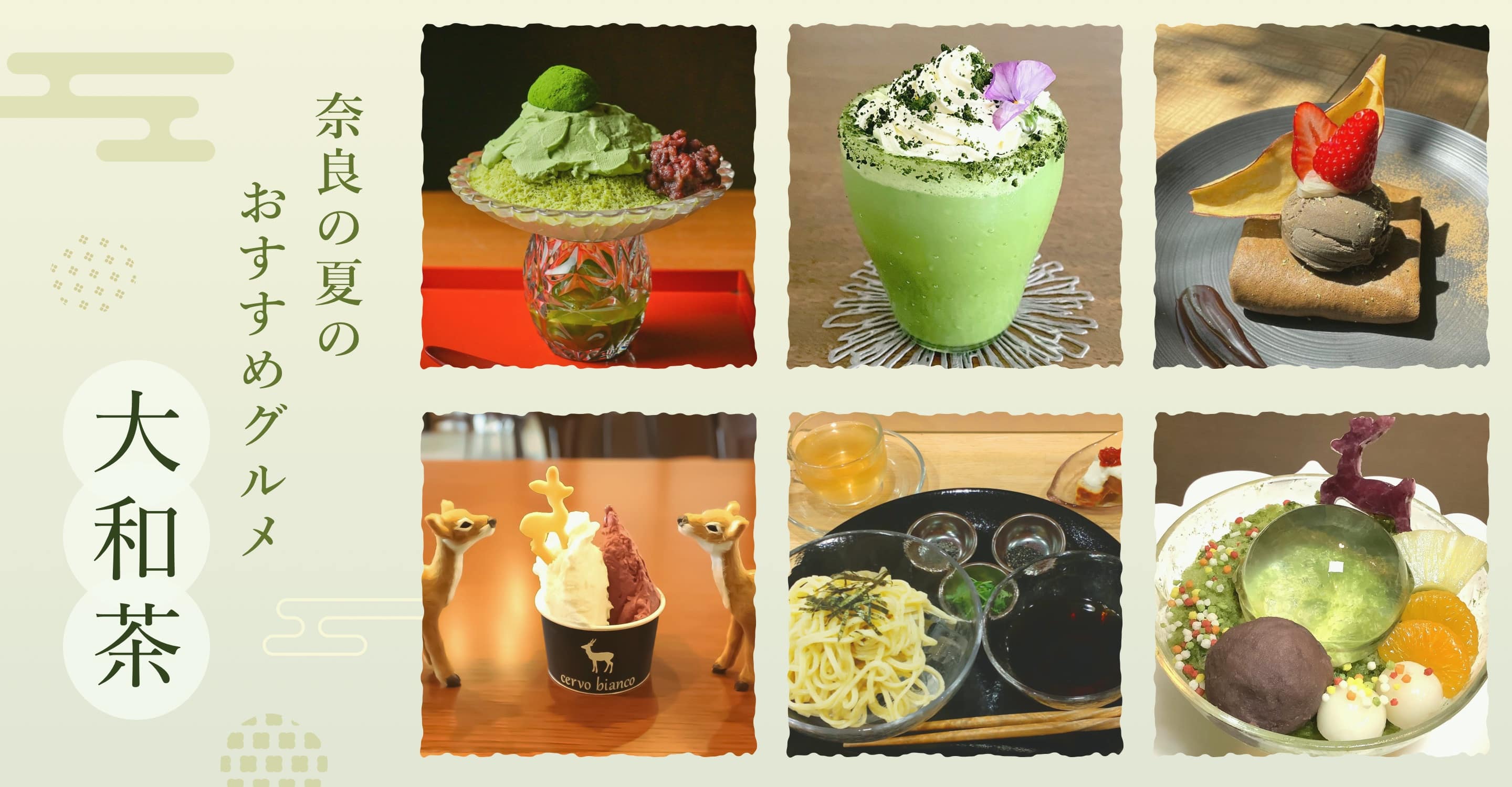 奈良の夏のおすすめグルメ 大和茶