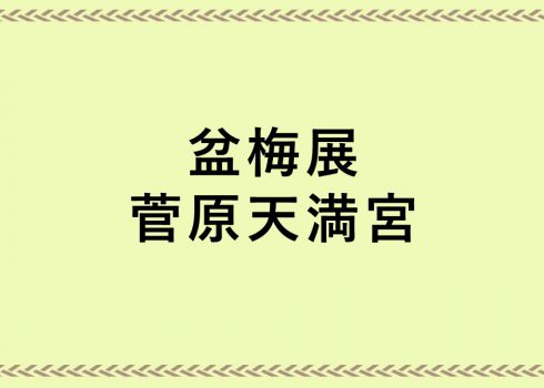 道真公ゆかりの梅の花 境内に盆梅を展示 盆梅展 菅原天満宮 奈良市観光協会サイト