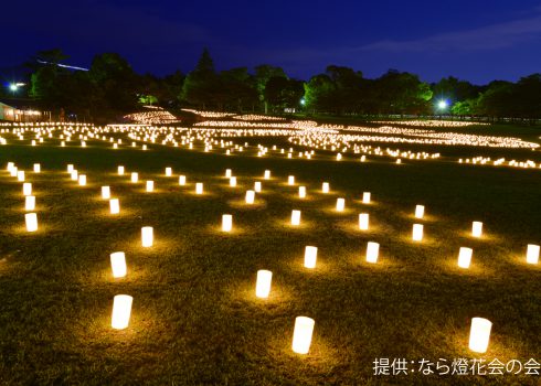 中止 古都の夜を灯りで幻想的に彩る なら燈花会 奈良公園 春日野園地 奈良市観光協会サイト