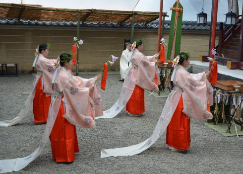 供奉笹百合 百合祭 又稱為三枝祭 率川神社 公益社團法人奈良市觀光協會